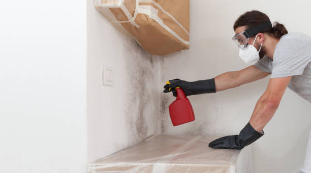 Professional Commercial Mold Remediation technician working in Carle Place, NY