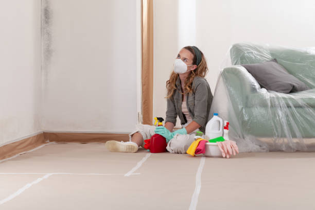 Reliable Commercial Mold Remediation contractor in Carle Place, NY by WQB Mold Removal
